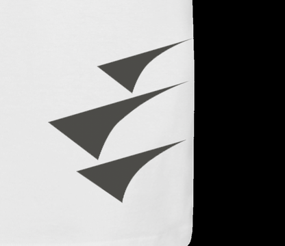 Tricou - Tete Mountain - Alpine Ascent